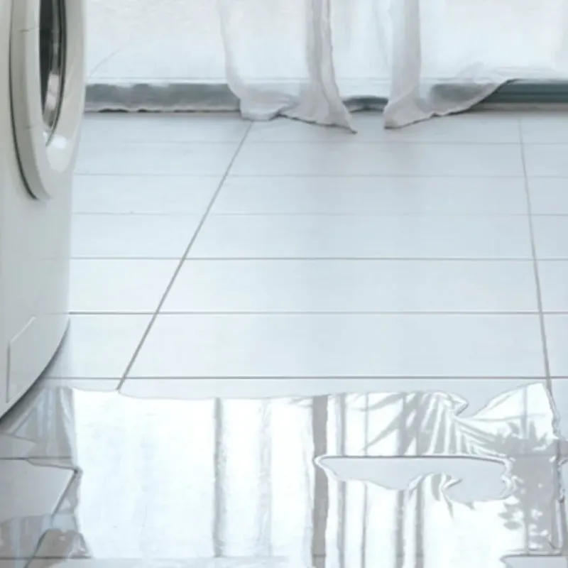 Appliance Leak Cleanup in Whitfield County, GA