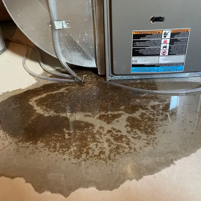 Pipe Burst and Leak Restoration in Whitfield County, GA