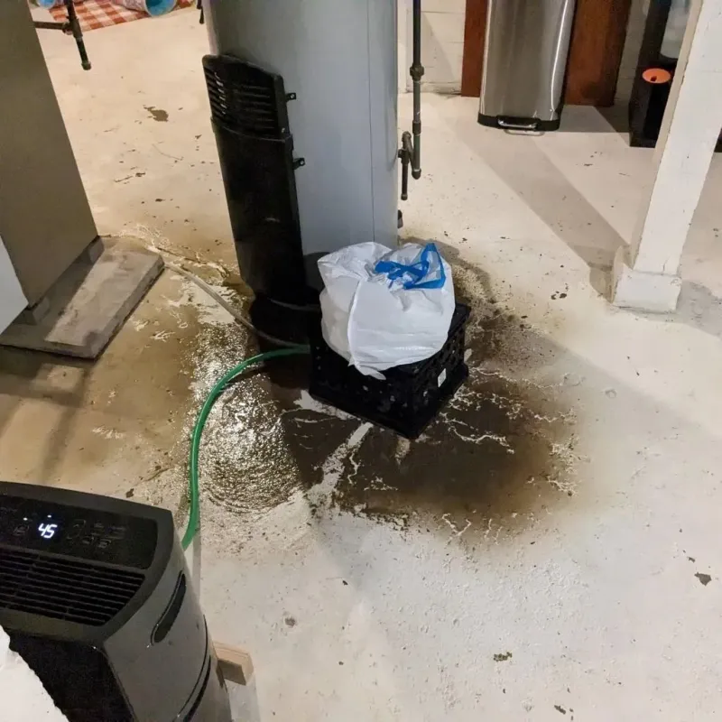Sewage Backup Cleanup Service in Whitfield County, GA